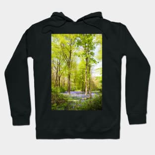 Bluebell Woods in Spring Hoodie